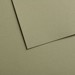 Papiers pastel Canson - Mi-teintes® Velvet - 10 feuilles - Vert pistache 614 - 50 x 65 cm - 430 g/m²