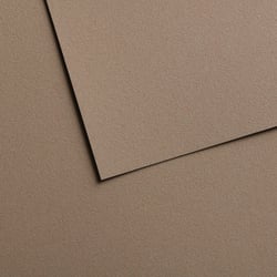 Papiers pastel Canson - Mi-teintes® Velvet - 10 feuilles - Marron gris 613 - 50 x 65 cm - 430 g/m²