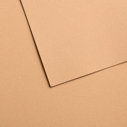 Papiers pastel Canson - Mi-teintes® Velvet - 10 feuilles - Beige doré 603 - 50 x 65 cm - 430 g/m²