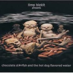 Chocolate Starfish & The Hot Dog Flavored Water - Vinyle