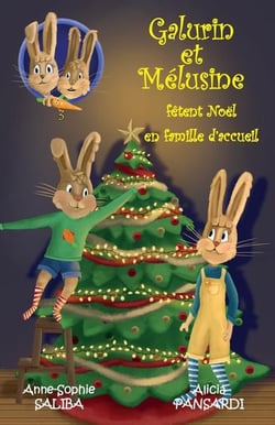 Galurin et melusine - t03 - galurin et melusine fetent noel en famille d'accueil