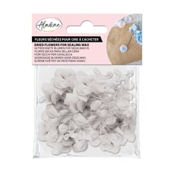Fleurs séchées Aladine - Blanches - 1,5 g 