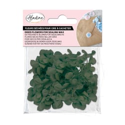 Fleurs séchées Aladine - Vert - 1,5 g