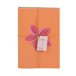 Lot de 3 carnets A5 - 64 pages - Exotique - Cultura