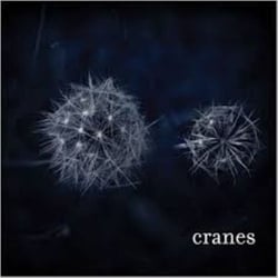 Cranes