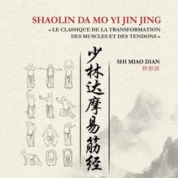 SHAOLIN DA MO YI JI JING : LE CLASSIQUE DE LA TRANSFORMATION DES MUSCLES ET DES TENDONS