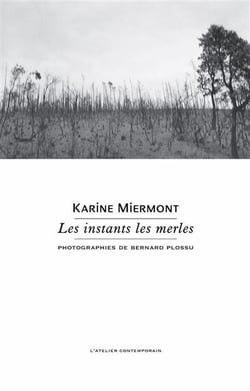 Les instants les merles