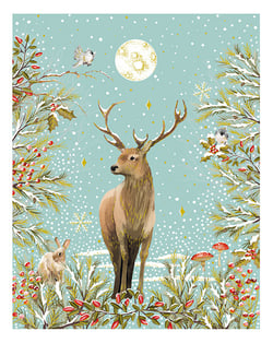 CARTES DOUBLES NATURE CHIC