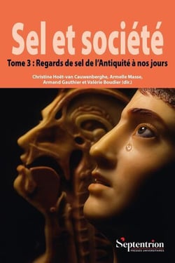Sel et société Tome 3 : Regards de sel de l'Antiquité à nos jours