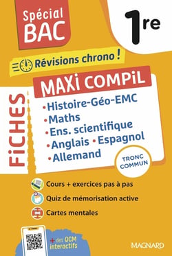 Spécial bac : Maxi Compil de Fiches tronc commun 1re : Tout le programme en 230 fiches : cours ultra-visuels, mémos, schémas-bilans, exercices et QCM (édition 2026)
