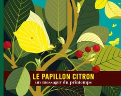 Le papillon citron : Un messager du printemps