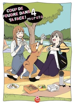 Coup de foudre dans ta face Tome 4