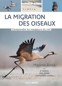 La migration des oiseaux : Comprendre les voyageurs du ciel (6e édition)