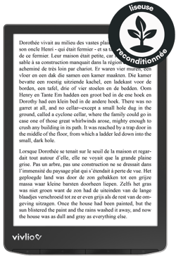Liseuse Vivlio - InkPad 4 - reconditionnée - noir
