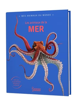 Les animaux de la mer