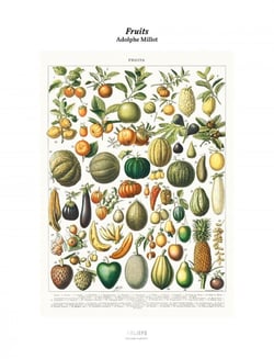 Tirage : Fruits