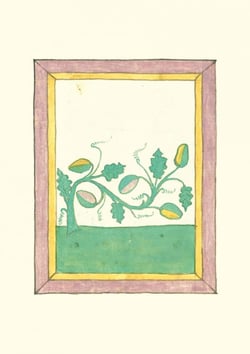 Carnet : Livre des herbes