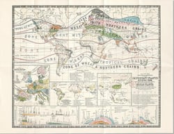 Carte : Carte des plantes alimentaires