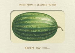 Livre d'images : Jardin potager et jardin fruitier