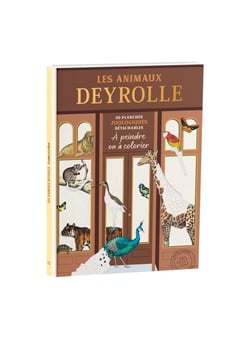 Les animaux deyrolle a colorier - 48 planches detachables a peindre ou a colorier