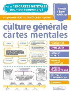 La culture générale en cartes mentales - Terminale & Études supérieures - Plus de 115 cartes mentales pour tout comprendre !