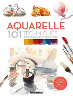 Aquarelle : 101 techniques pour apprendre et progresser