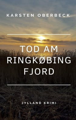 Tod am Ringkøbing Fjord : Jylland-Krimi