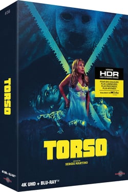 Torso