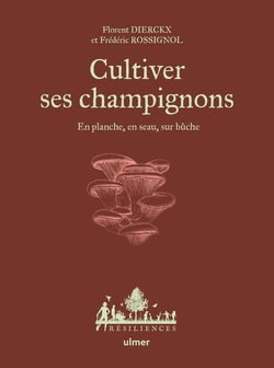 Cultiver ses champignons : En planche, en seau, sur bûche