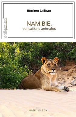 Namibie, sensations animales