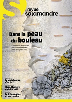 La salamandre n.292 : Février 2026