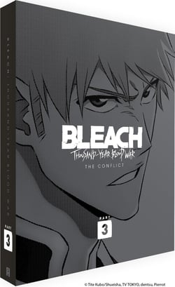 Bleach : Thousand-Year Blood War - Partie 3