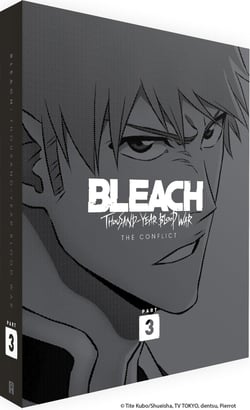 Bleach : Thousand-Year Blood War - Partie 3