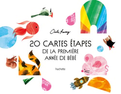 20 cartes étapes de la première année de bébé