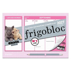 Mini frigobloc : Hebdomadaire : Chats Rigolos (édition 2027)