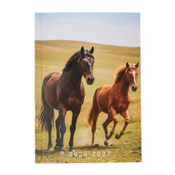 Agenda journalier 2026/2027 - Cheval - 12 x 17 cm - Cultura
