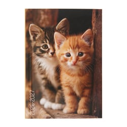 Agenda journalier 2026/2027 - Chat - 12 x 17 cm- Cultura