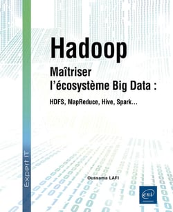 Hadoop : Maîtriser l'écosystème Big Data : HDFS, MapReduce, Hive, Spark...