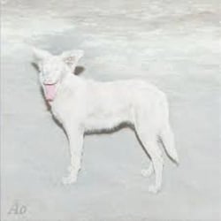 Malandra