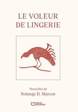 Le Voleur de Lingerie