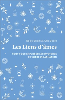 Liens d'âmes : Explorez les mystères de votre incarnation