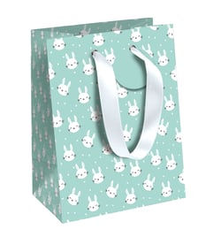 Sac cadeau Clairefontaine - 21,5 x 10,2 x 25,3 cm