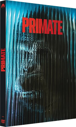 Primate