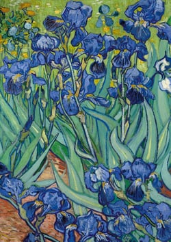 Notizbuch A5 blanko Softcover - 100 Seiten - Motiv Schwertlilien (Irises) Vincent van Gogh - 90g/m² - FSC Papier : Notebook Journal Diary A5 blanko - Geschenkidee