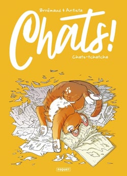 Chats ! Chats-tchatcha