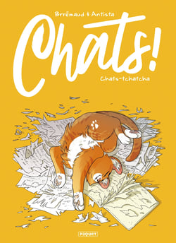 Chats ! Chats-tchatcha