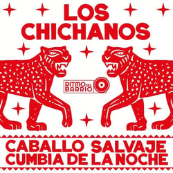 Caballo Salvaje Cumbia De La Noche