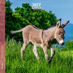 Calendrier 2027 Pictura - Anes - 16 x 16 cm