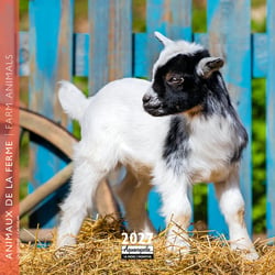 Calendrier 2027 Pictura - Animaux de la ferme - 16 x 16 cm