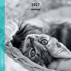 Calendrier 2027 Pictura - Chats N&B - 16 x 16 cm